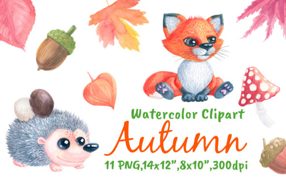 Autumn Hedgehog Fox Watercolor Decorative Elements